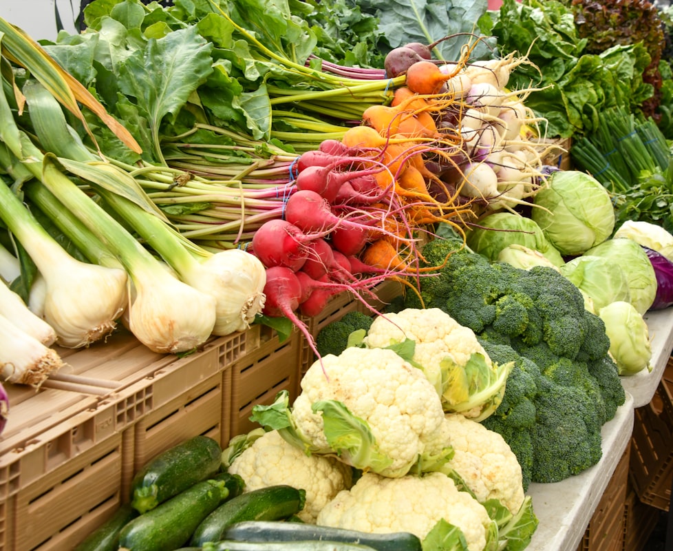 Verduras frescas orgánicas