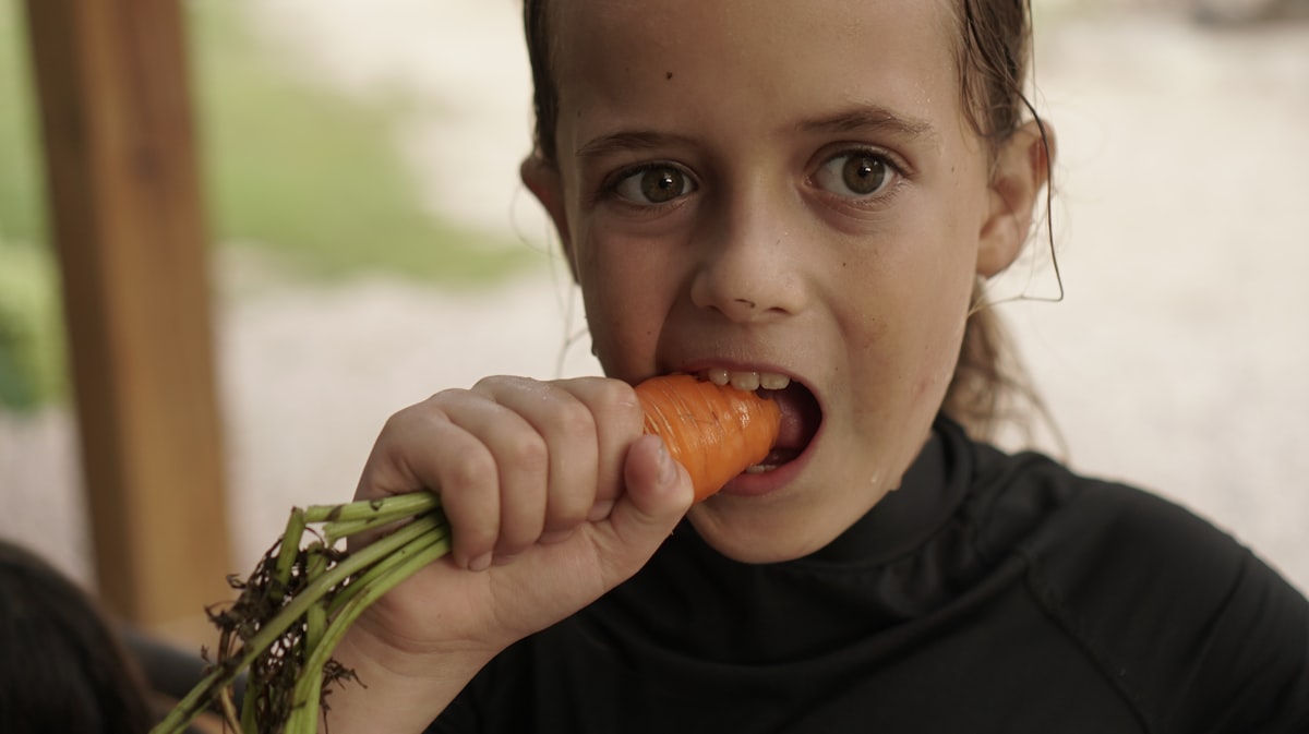 Familia disfrutando de alimentos orgánicos saludables